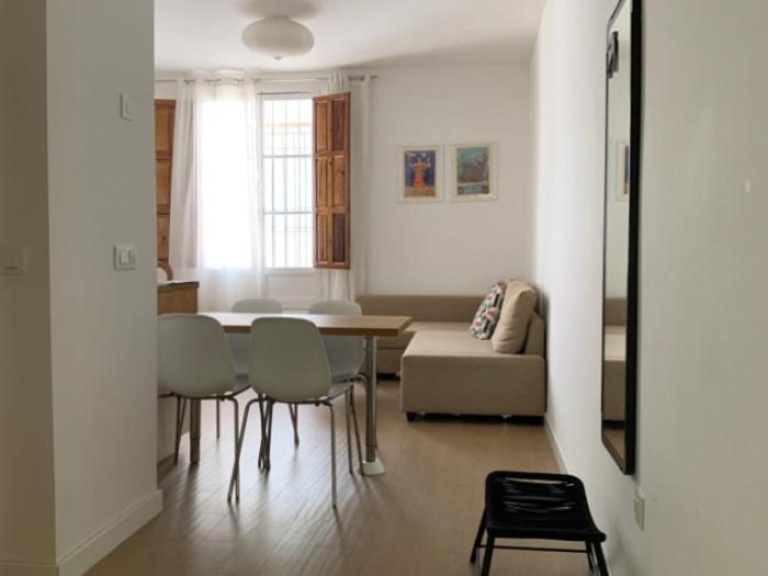 Luz Y Tranquilidad Barrio De Sta Cruz Apartment Seville Ngoại thất bức ảnh