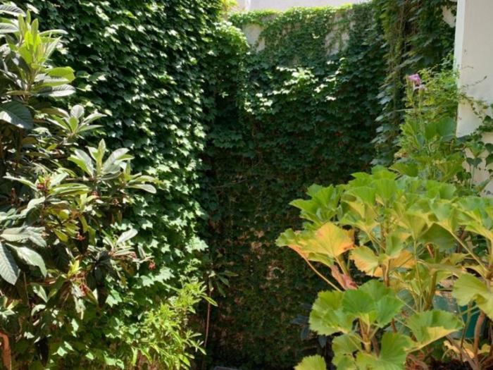 Luz Y Tranquilidad Barrio De Sta Cruz Apartment Seville Ngoại thất bức ảnh