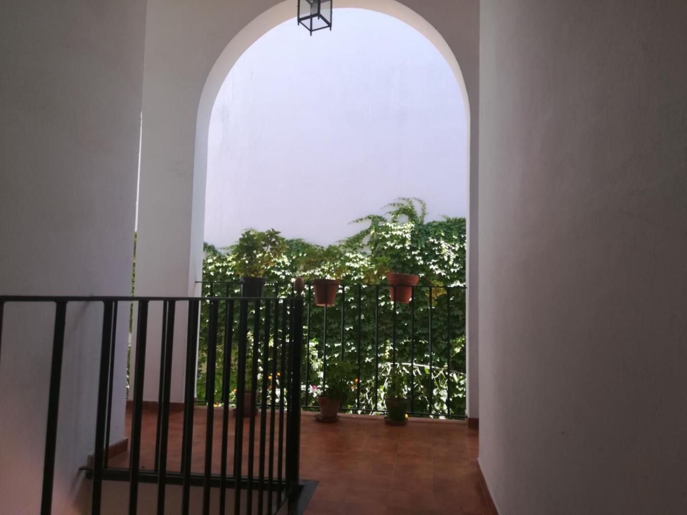 Luz Y Tranquilidad Barrio De Sta Cruz Apartment Seville Ngoại thất bức ảnh