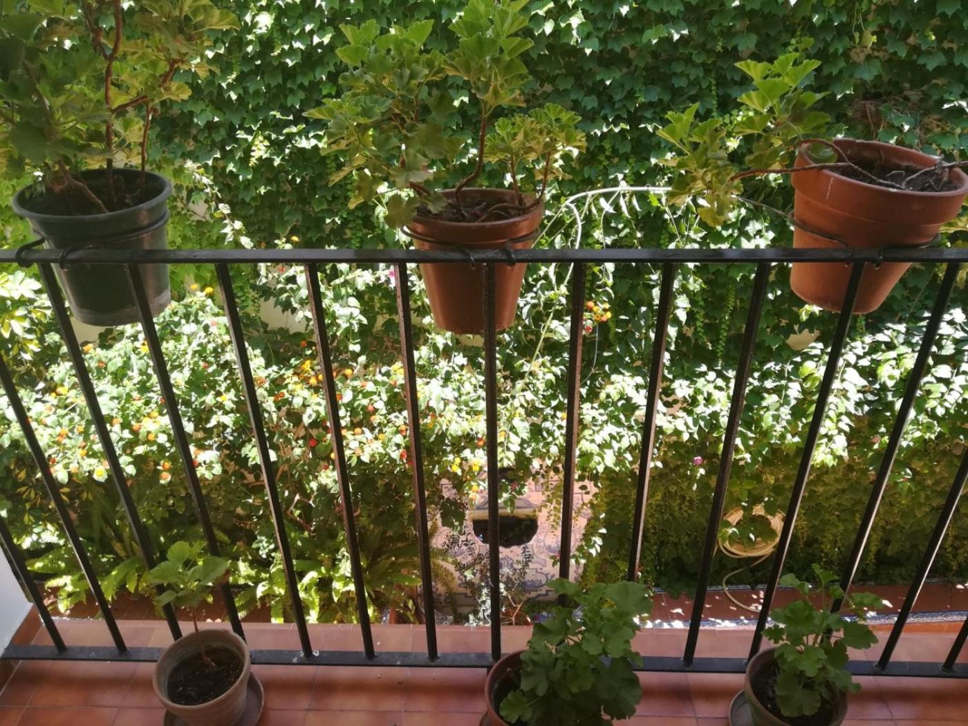 Luz Y Tranquilidad Barrio De Sta Cruz Apartment Seville Ngoại thất bức ảnh